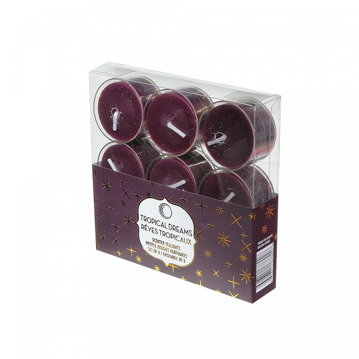 Paquet de 9 bougies chauffe-plats surdimensionnées à arôme de rêves tropicaux dans des godets transparents - bougie de 19 g