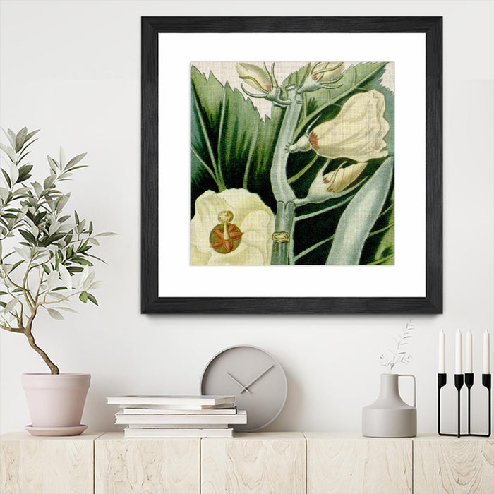 Œuvre d’art murale encadrée noire et mate « Cropped Turpin Tropicals Iii » 36 x 36