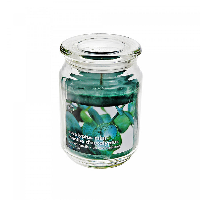 Pot parfumé de 18 oz en verre à arôme d’eucalyptus et menthe avec couvercle en verre - ensemble de 2 bougies