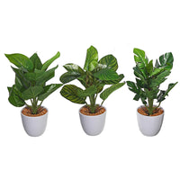 Plantes artificielles dans un pot en plastique blanc - ensemble de 3 fleurs artificielles