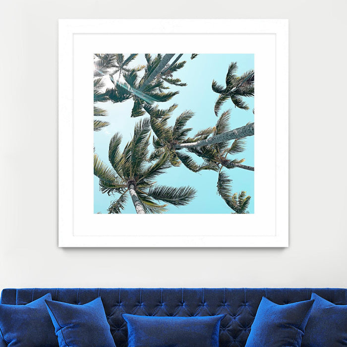 Œuvre d’art murale encadrée blanche et mate « Palm 03 » 36 x 36