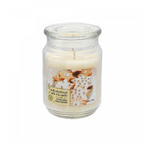 Bougie parfumée dans un pot de 18 oz à arôme de sablé à la vanille - ensemble de 2 bougies