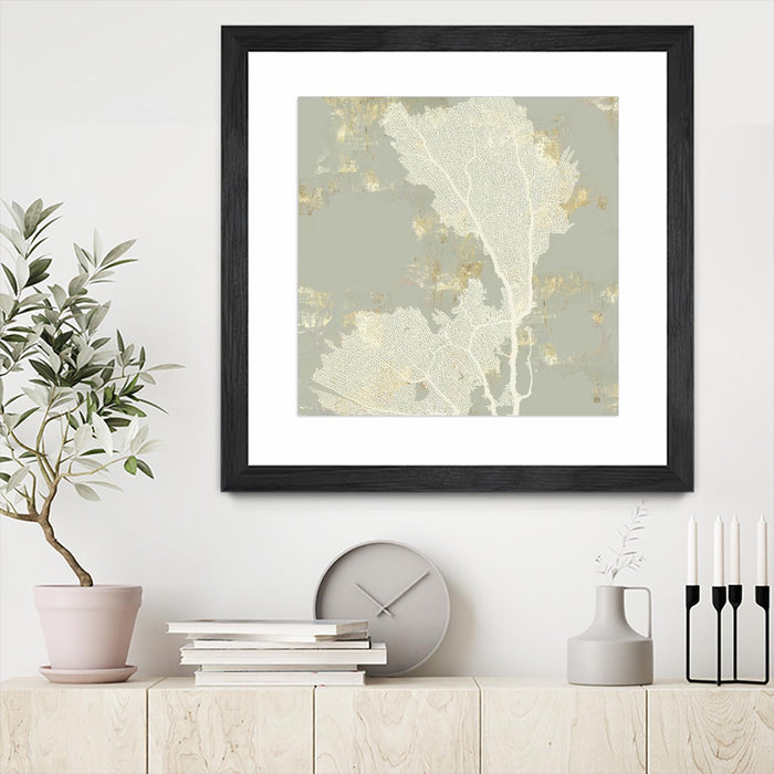 Œuvre d’art murale encadrée noire et mate « Sea Coral Ii » 36 x 36