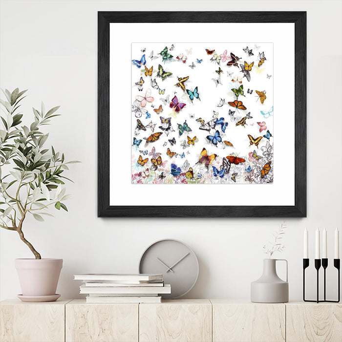 Œuvre d’art murale encadrée noire et mate « Papillon » 36 x 36