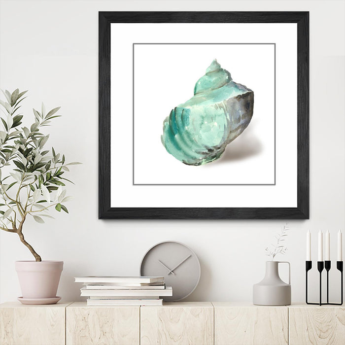 Œuvre d’art murale encadrée noire et mate « Shell In Mint » 30 x 30