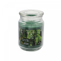 Bougie parfumée dans un pot de 18 oz à arôme de magie de Noël - ensemble de 2 bougies