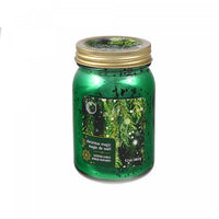 Chandelle de 9,2 oz à arôme de magie de Noël dans un pot Mason électroplaqué