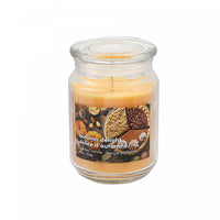 Pot parfumé de 18 oz à arôme de délice d’automne avec couvercle en verre - ensemble de 2 bougies