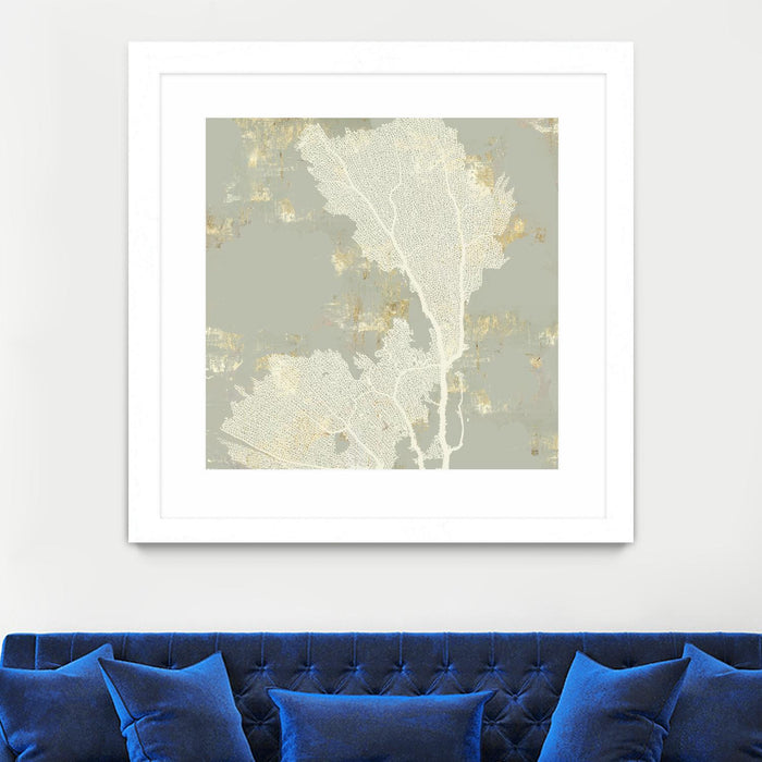 Œuvre d’art murale encadrée blanche et mate « Sea Coral Ii » 36 x 36