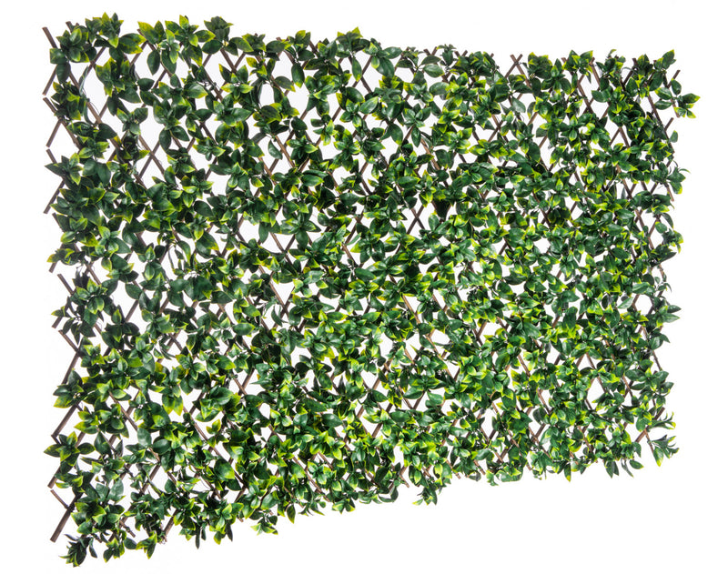 Treillis de saule extensible 36 po x 72 po avec feuilles de gardénia artificielles