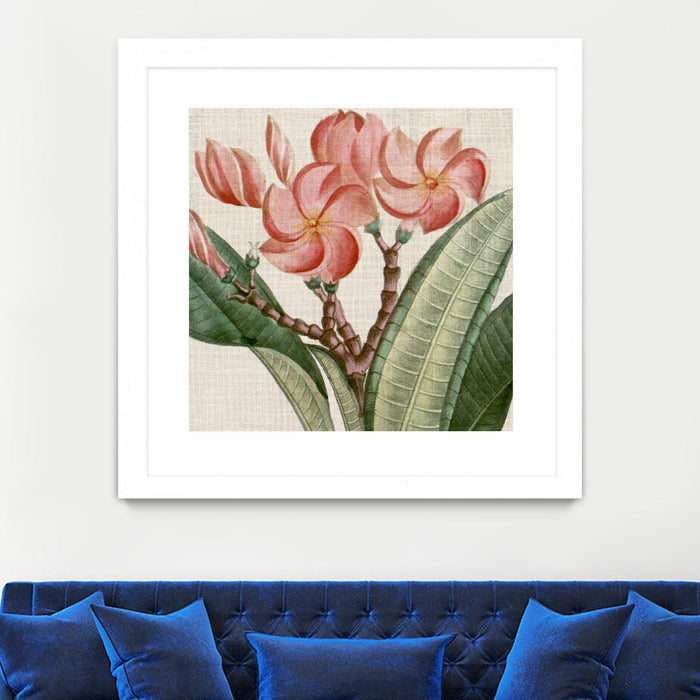 Œuvre d’art murale encadrée blanche et mate « Cropped Turpin Tropicals Vii » 36 x 36