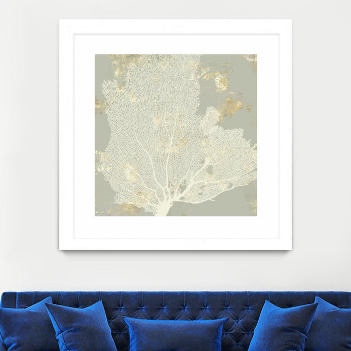 Œuvre d’art murale encadrée blanche et mate « Sea Coral I » 36 x 36