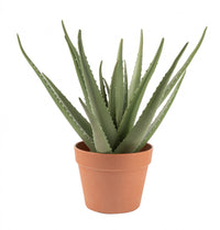 Aloe vera artificiel de 17 po en pot terracotta