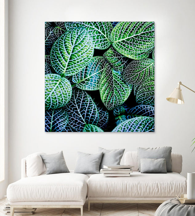 Œuvre d’art murale Giant Art « Leaf Viii » 54 x 54