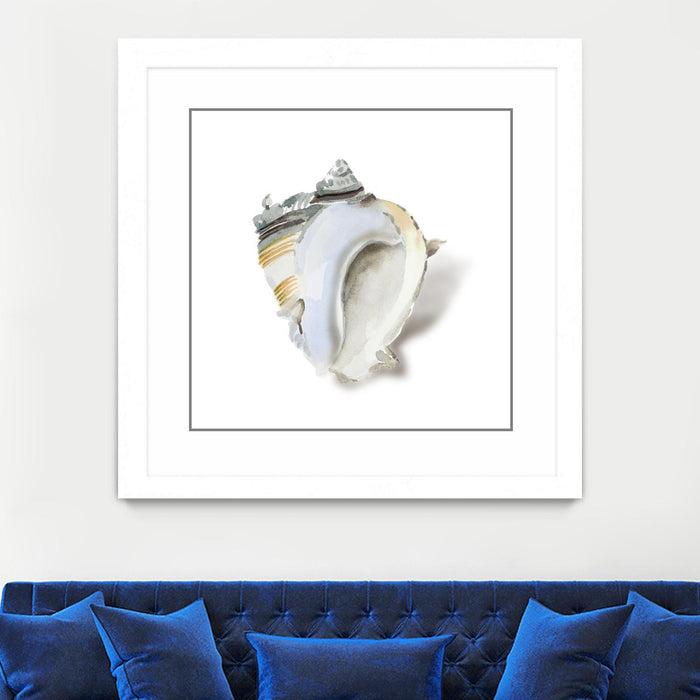 Œuvre d’art murale encadrée blanche et mate « Seafoam Shell » 36 x 36