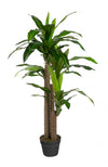 Dracaena artificiel de 49 po en pot noir