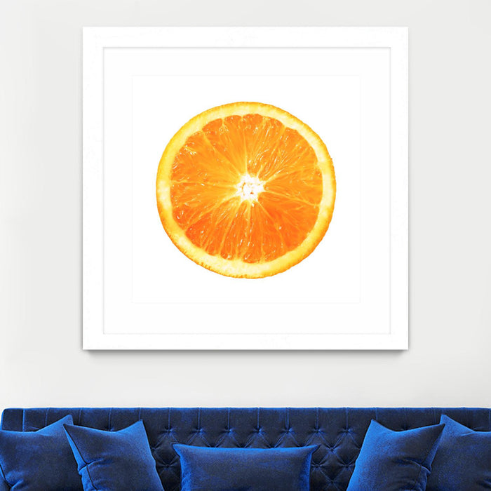 Œuvre d’art murale encadrée blanche et mate « Citrus Cultivar » 36 x 36