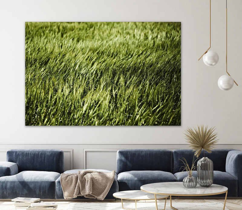 Œuvre d’art murale Giant Art « Grass Ii » 84 x 54