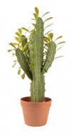 Cactus candélabre artificiel de 25 po en pot terracotta