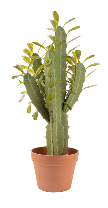 Cactus candélabre artificiel de 25 po en pot terracotta