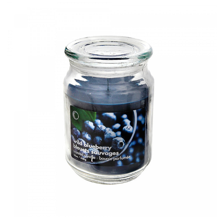 Pot parfumé de 18 oz à arôme de bleuets sauvages avec couvercle en verre - ensemble de 2 bougies