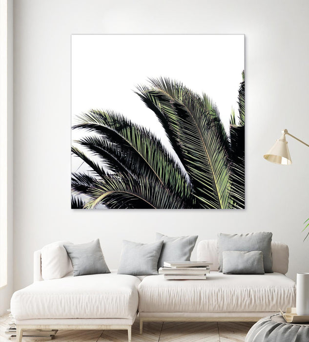 Œuvre d’art murale Giant Art « Cape Storm » 72 x 72