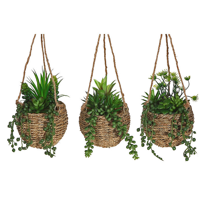 Plantes grasses artificielles dans un pot en corde à accrocher - ensemble de 3 fleurs artificielles