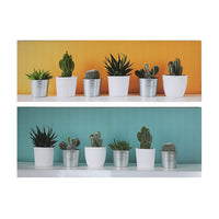 Œuvre d’art murale sur toile représentant des plantes grasses - ensemble de 2 décorations murales