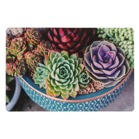 Napperon en plastique avec une image de plantes grasses en pots - ensemble de 12