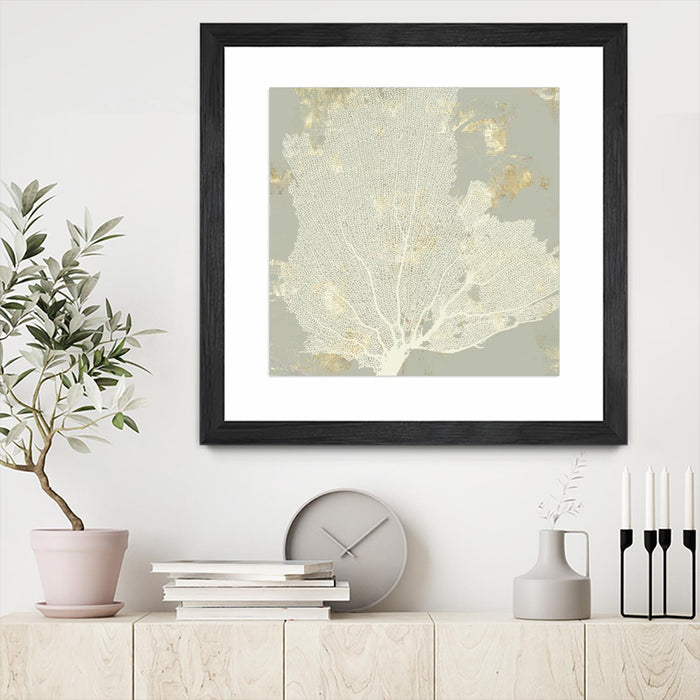 Œuvre d’art murale encadrée noire et mate « Sea Coral I » 36 x 36