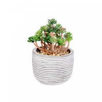 Plante grasse artificielle dans un pot en ciment - ensemble de 2 fleurs artificielles