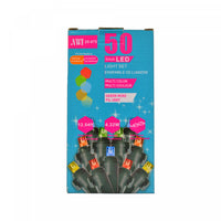 Jeu de 50 lumières à DEL de 5 mm pour l’intérieur et l’extérieur avec ampoules multicolores - ensemble de 2 jeux de lumières de Noël