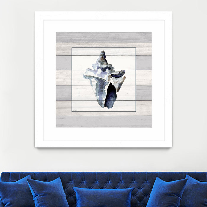 Œuvre d’art murale encadrée blanche et mate « Muted Blue Sea Conch On Wood » 30 x 30
