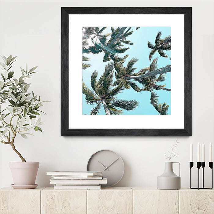 Œuvre d’art murale encadrée noire et mate « Palm 03 » 36 x 36