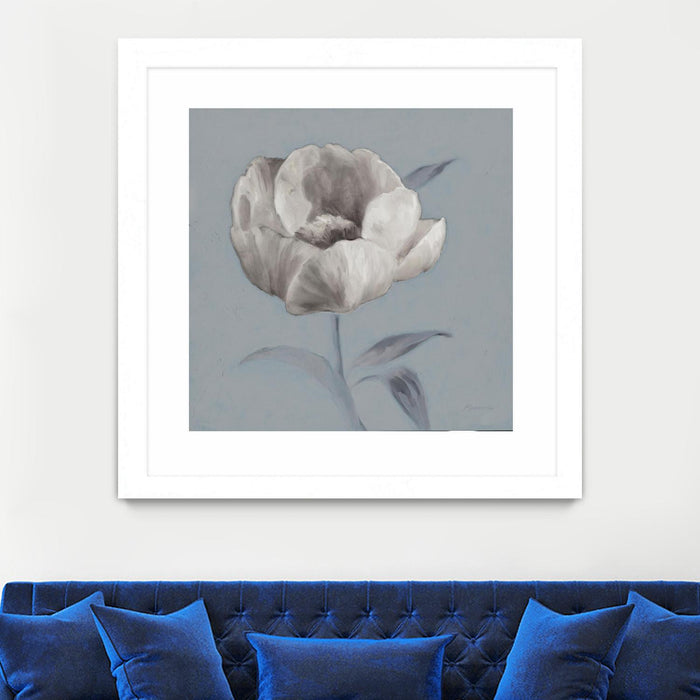 Œuvre d’art murale encadrée blanche et mate « Floral Symposium I » 36 x 36