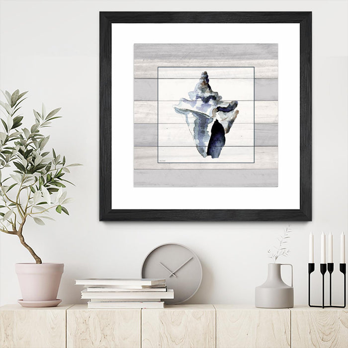 Œuvre d’art murale encadrée noire et mate « Muted Blue Sea Conch On Wood » 36 x 36