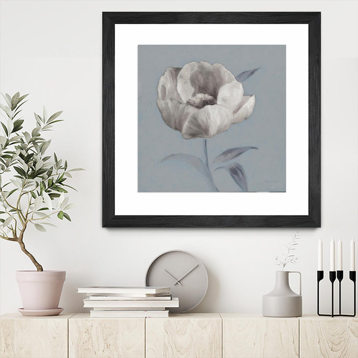 Œuvre d’art murale encadrée noire et mate « Floral Symposium I » 36 x 36