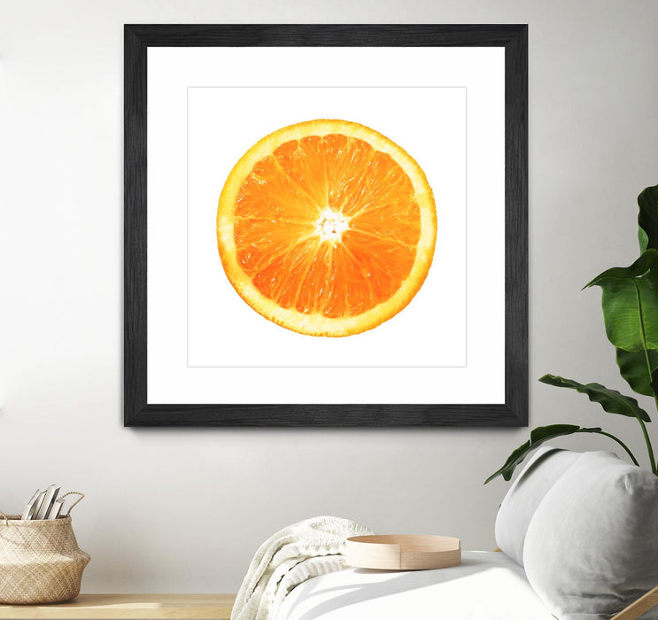 Œuvre d’art murale encadrée noire et mate « Citrus Cultivar » 30 x 30