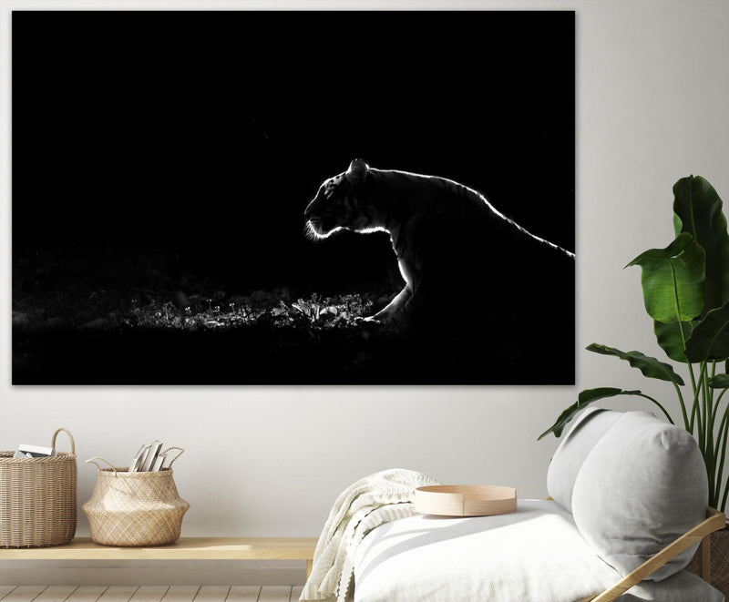 Œuvre d’art murale Giant Art « Amot - Untitled » 72 x 48