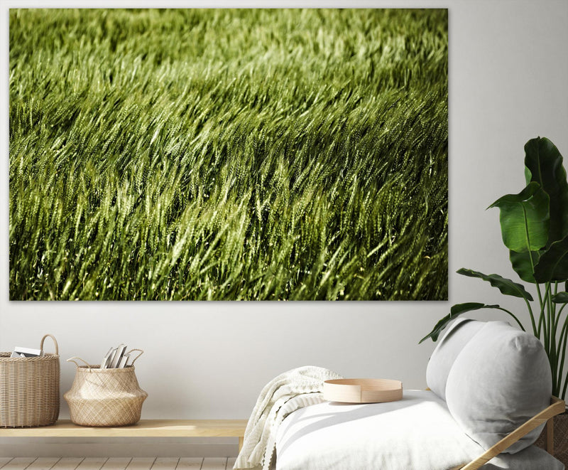 Œuvre d’art murale Giant Art « Grass Ii » 84 x 54