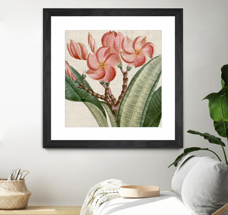 Œuvre d’art murale encadrée noire et mate « Cropped Turpin Tropicals Vii » 36 x 36