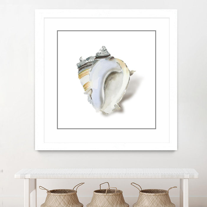 Œuvre d’art murale encadrée blanche et mate « Seafoam Shell » 36 x 36