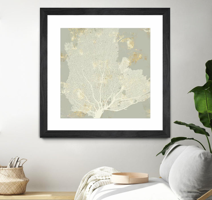 Œuvre d’art murale encadrée noire et mate « Sea Coral I » 36 x 36