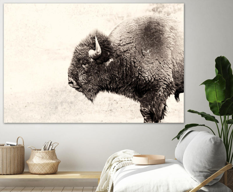 Œuvre d’art murale Giant Art « Buffalo » 72 x 48