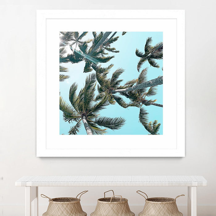 Œuvre d’art murale encadrée blanche et mate « Palm 03 » 36 x 36