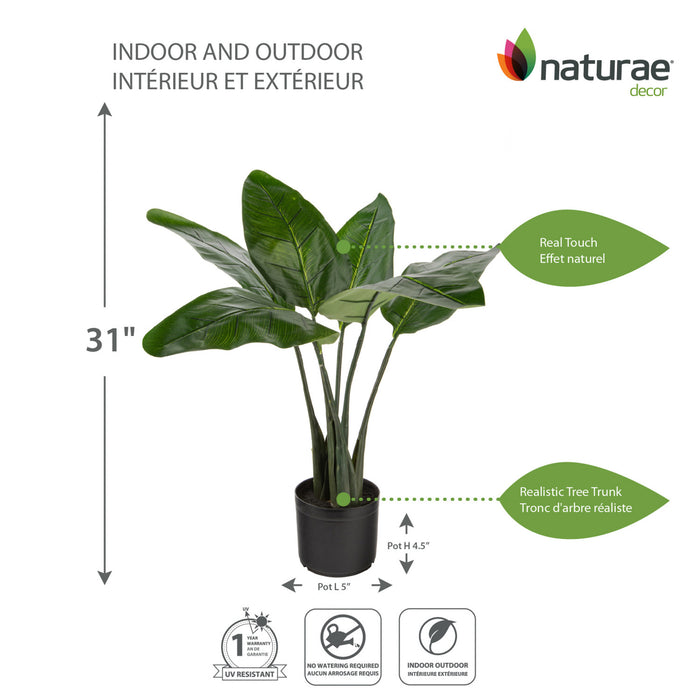 Oiseau du paradis artificiel de 31 po pour l’intérieur et l’extérieur en pot noir