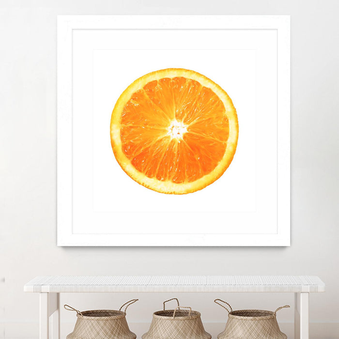 Œuvre d’art murale encadrée blanche et mate « Citrus Cultivar » 36 x 36