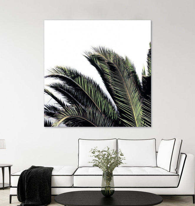 Œuvre d’art murale Giant Art « Cape Storm » 54 x 54