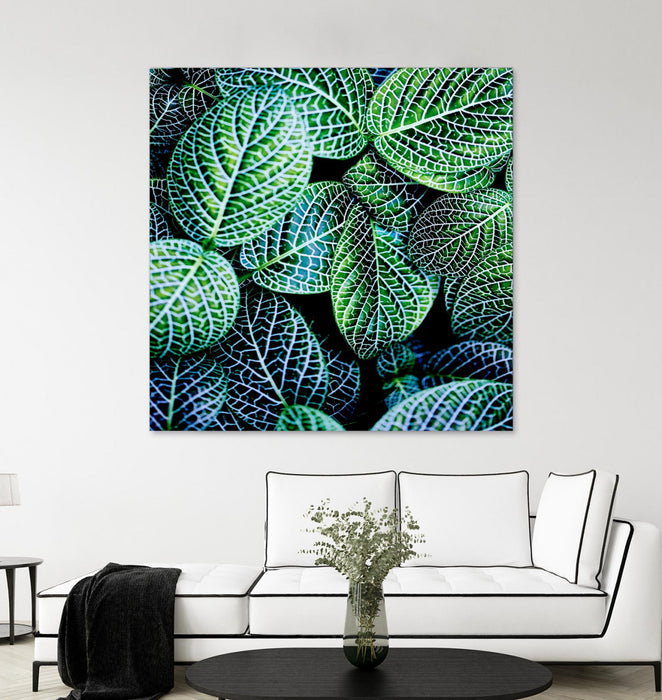 Œuvre d’art murale Giant Art « Leaf Viii » 54 x 54