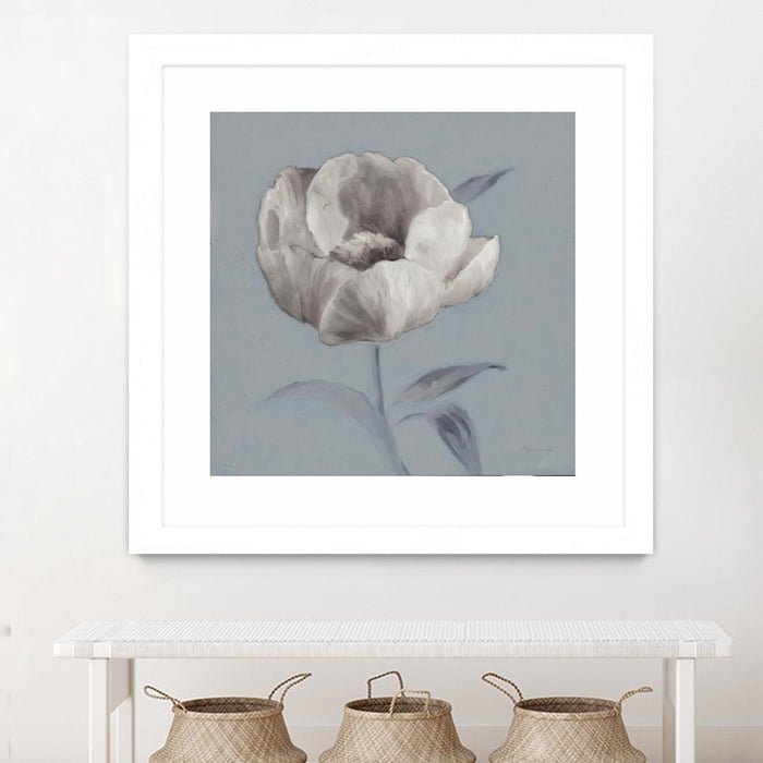 Œuvre d’art murale encadrée blanche et mate « Floral Symposium I » 36 x 36